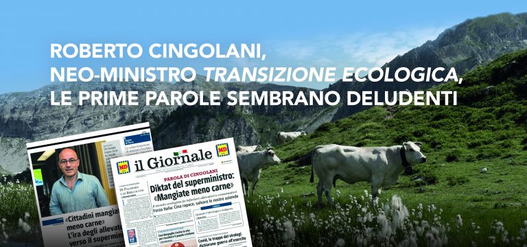 parole