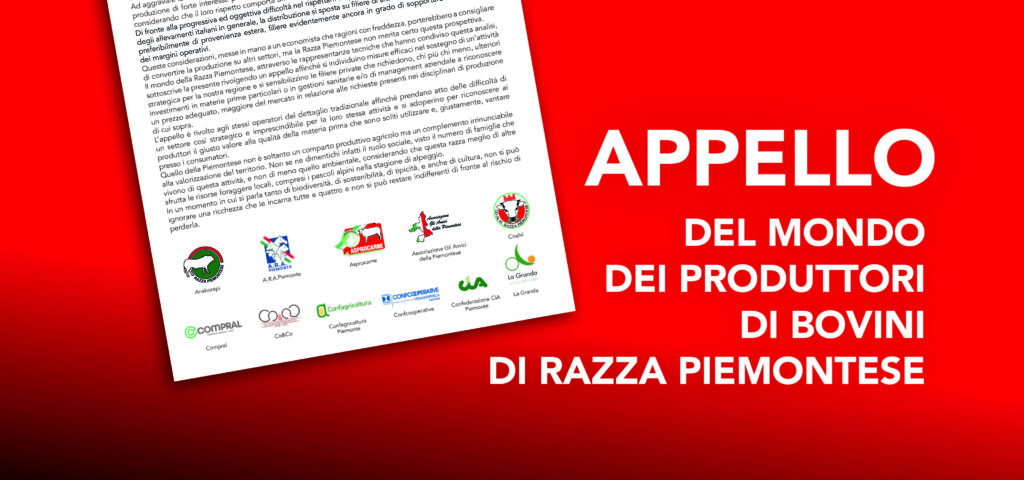 appello