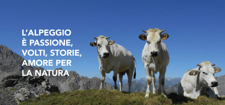 L’alpeggio è passione, volti, storie, amore per la natura